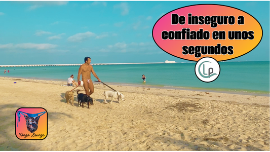 Paseo en la playa n.º 000perdilacuenta 𑗅 Estrenando tanga Bohemian Ocean